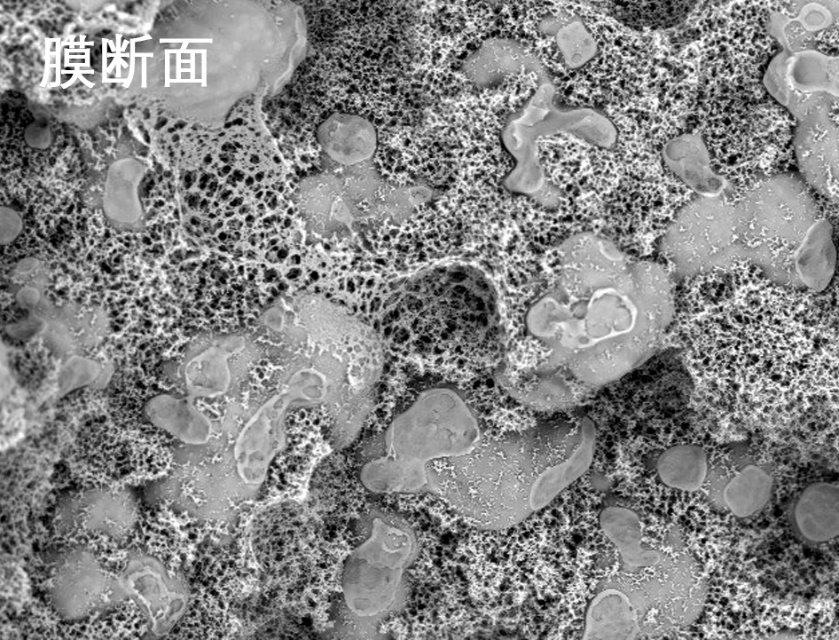 lehu乐虎烧结管式膜电镜照片